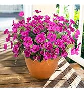 Hoppwodd Hibiscus Artificial Flowers for Outdoors Spring Decoration, 6 Bundles Faux Silk Flowers ...