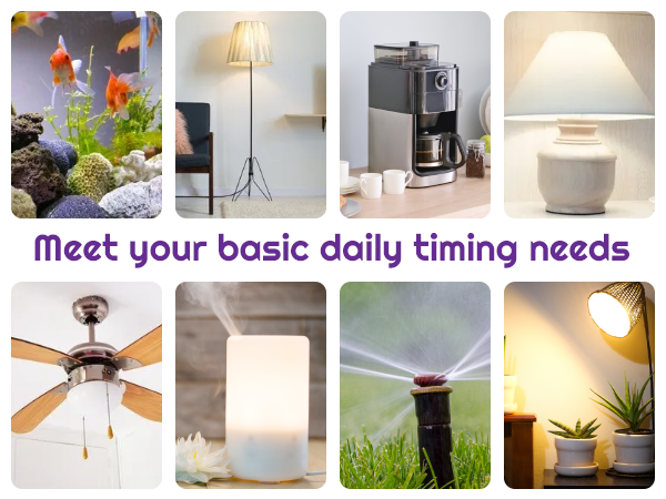 Timer Outlet