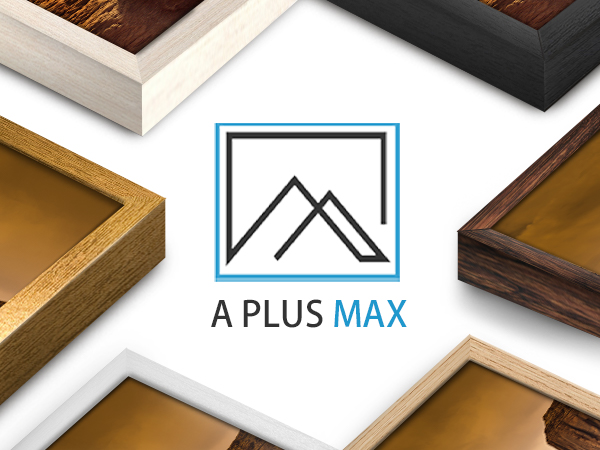 A PLUS MAX LOGO