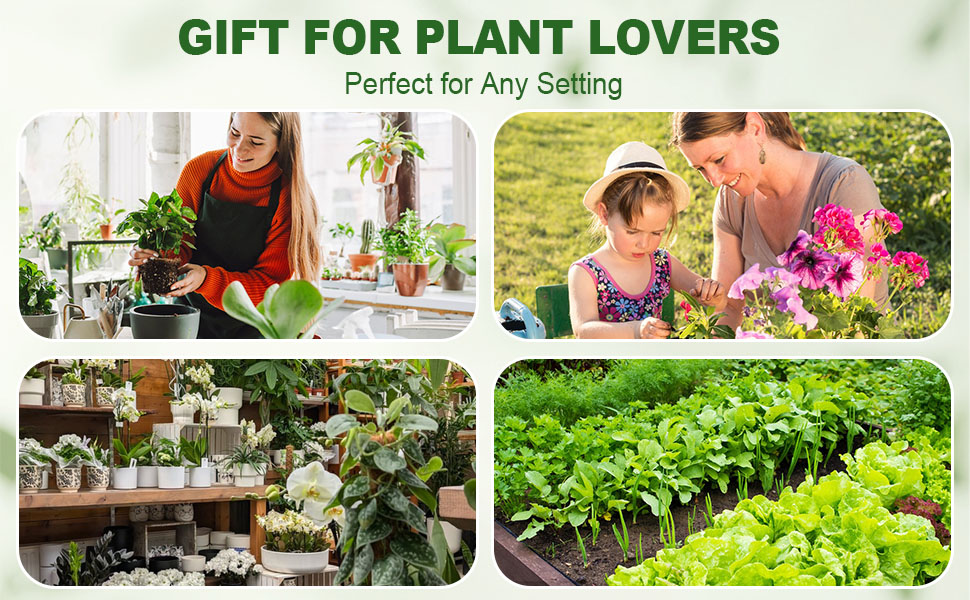 Plant supports do it all—steady pots, tidy gardens, pro flowers, strong crops.