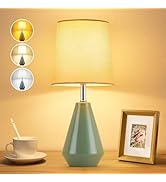 bdayanx Small Bedside Table Lamp for Bedroom - Reading Desk Lamp with 3 Color Temperatures,15.5" ...