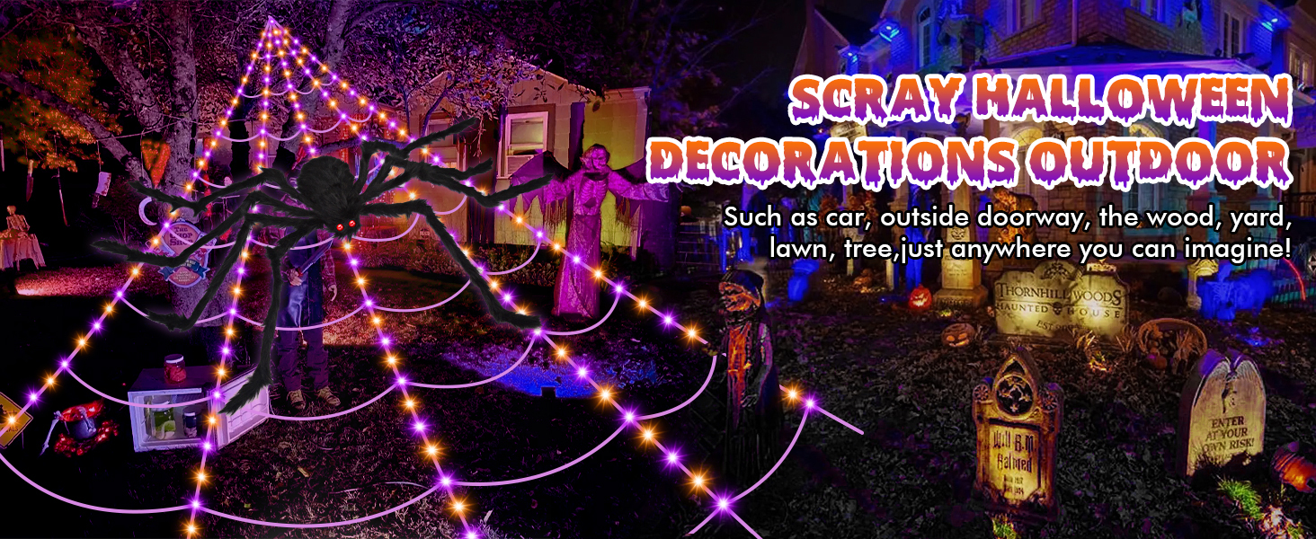 spider web decoration