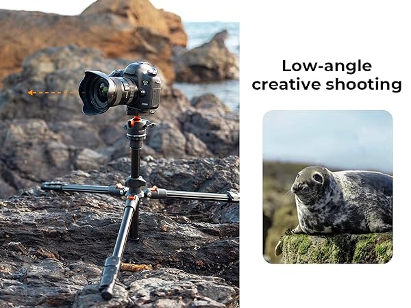 Low-angle Shooting