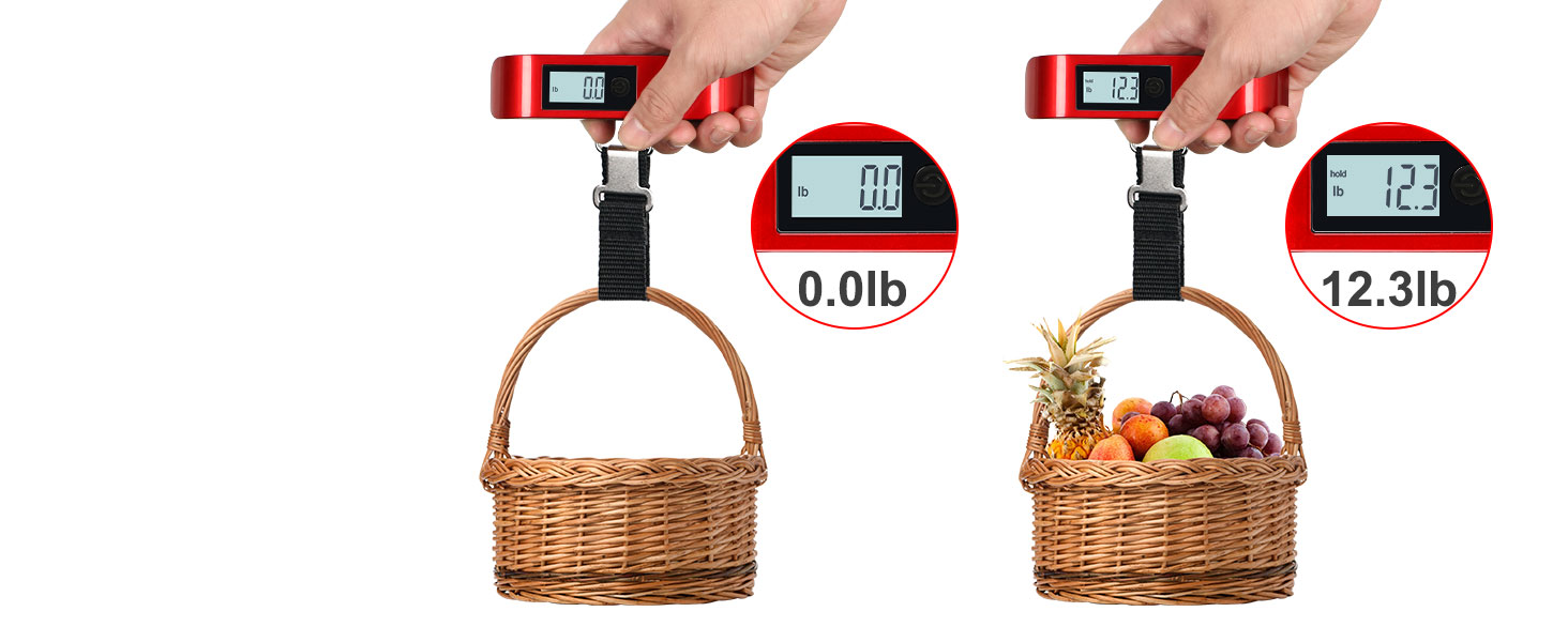 luggage scale