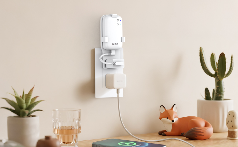 Blink Sync Module Core mount