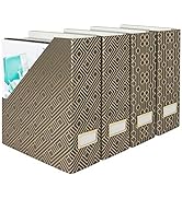 BLU MONACO Foldable Magazine File Holder with Gold Label Holder - Set of 4 Cardboard Magazine Fil...