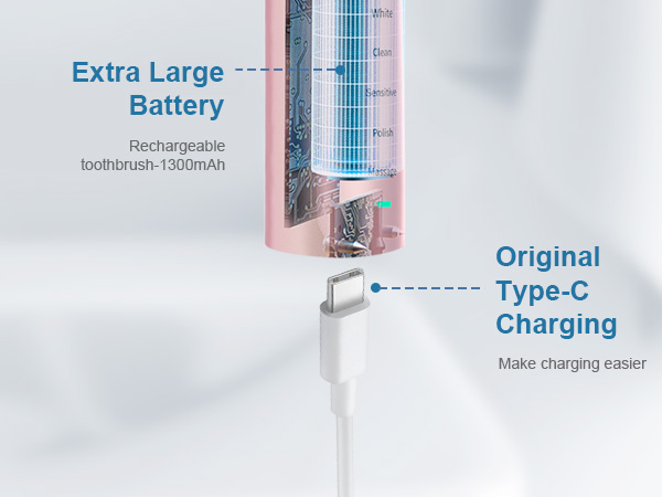 Electric Toothbrush