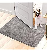 Walensee Indoor Doormat, Front Door Mat for Entrance (20