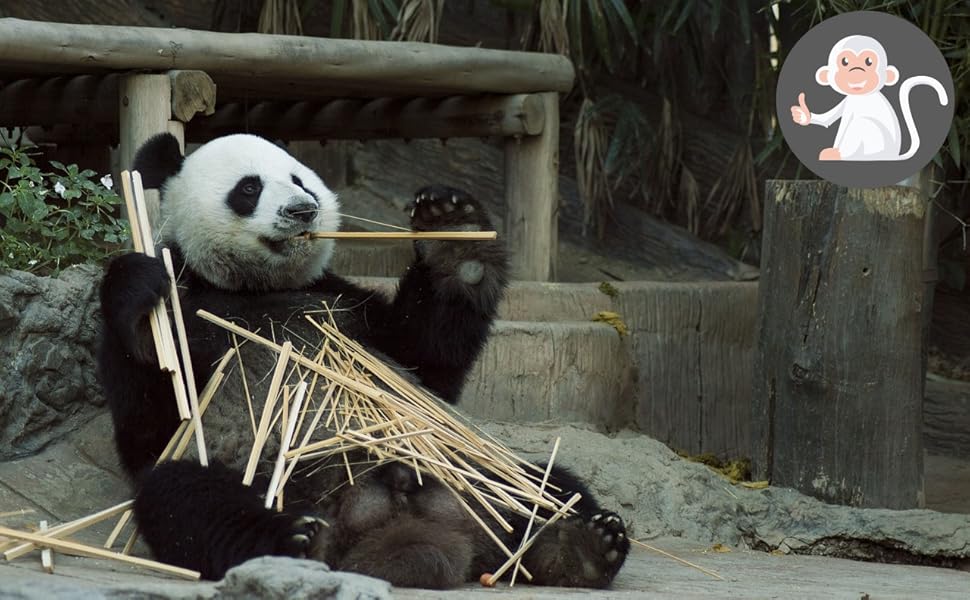We also love bamboo?