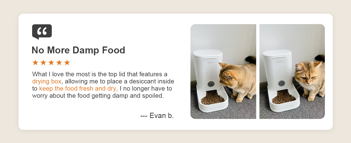 automatic cat feeder