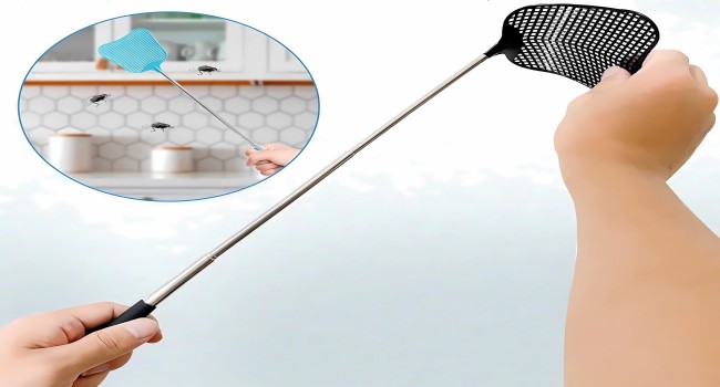 Telescopic Fly Swatters