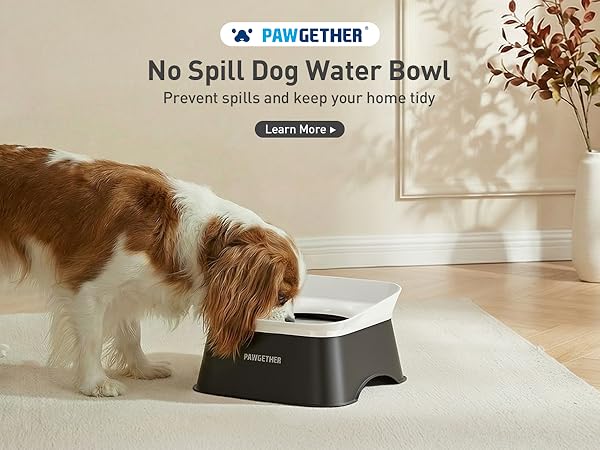 slow drinking dog water bowl