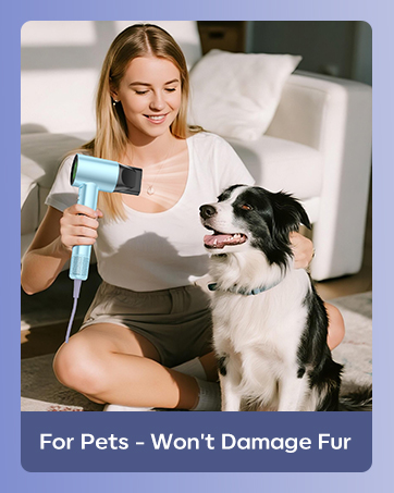 hair dryer with diffuser