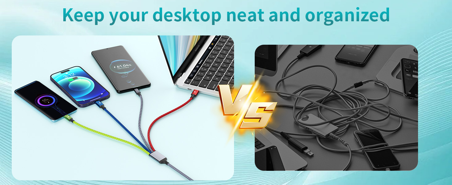 Dual Type-C Multiple Charger Cable