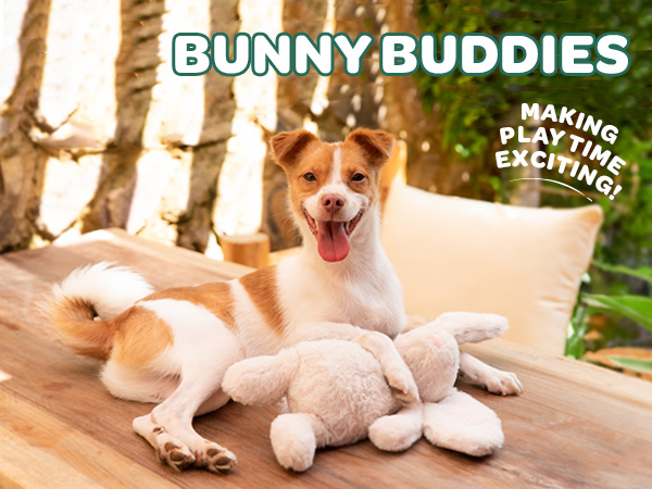 dog toys for chewers
