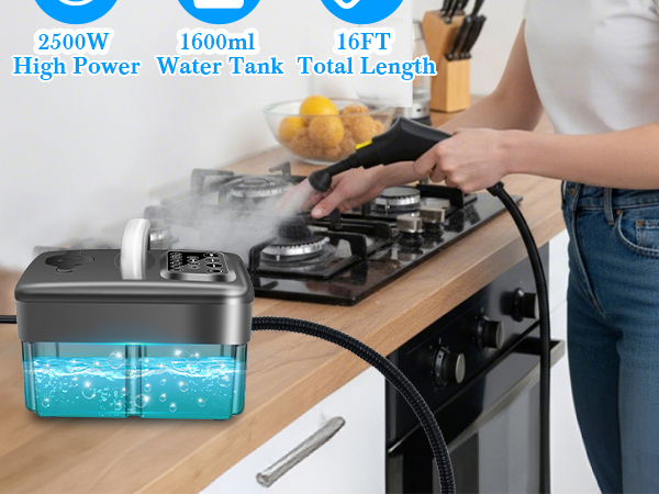 steamer for cleaning