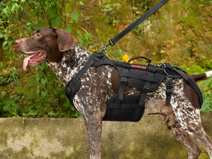 the dog carrier is designed to keep your dog from walking