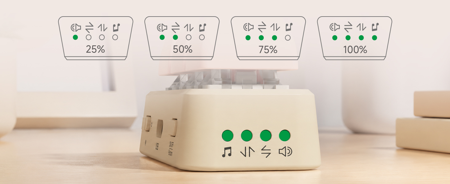 Battery Level Display