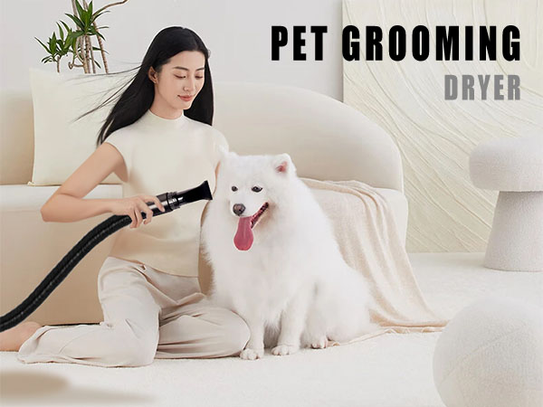 Dog Hair Dryer High Velocity Professional Dog Blow Dryer