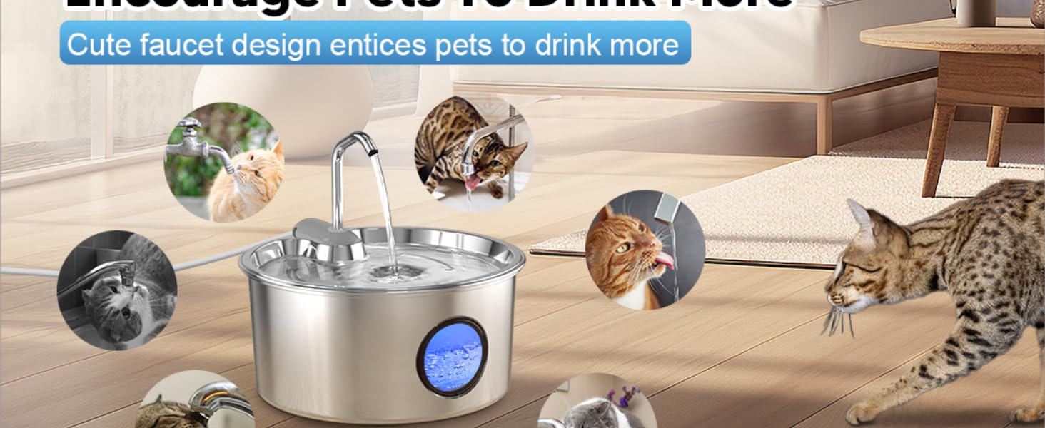 cat fountains for drinking