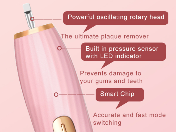 Rechargeable Toothbrush