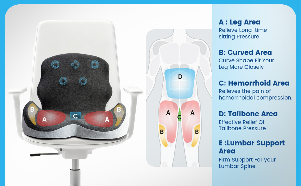 back support for office chair