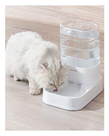 cat water dispenser