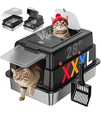 https://m.media-amazon.com/images/I/51u3oRvvRWL.__AC_SR200,225___.jpg