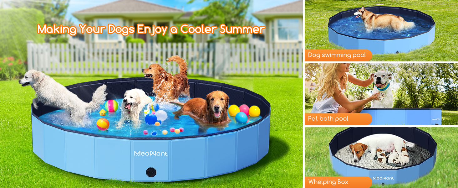 extra large dog pool