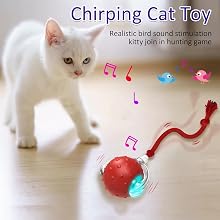 Chirping Cat Toy Ball