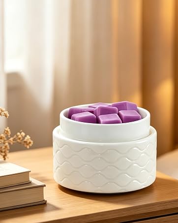 electric wax warmer