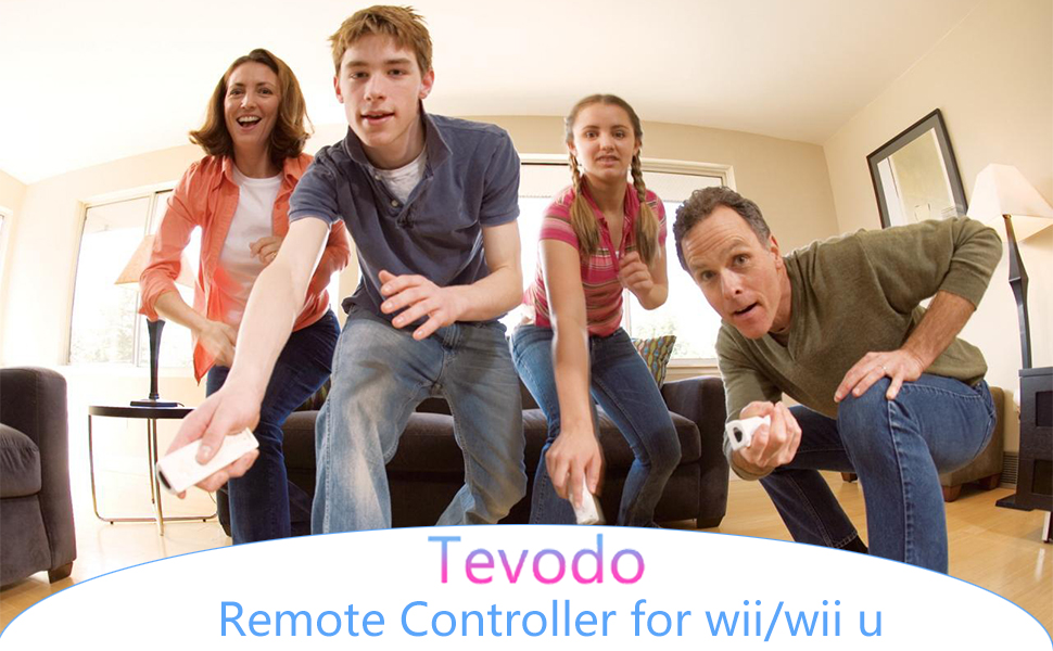 Wii Remote Controller