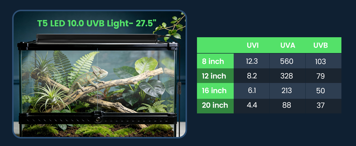 UVB LED Reptile Light