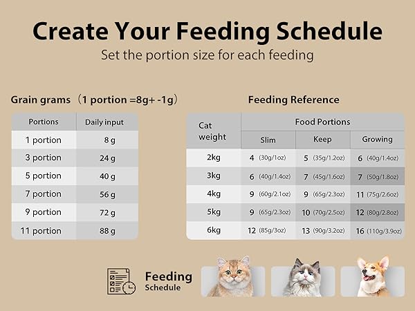 Automatic Cat Feeder