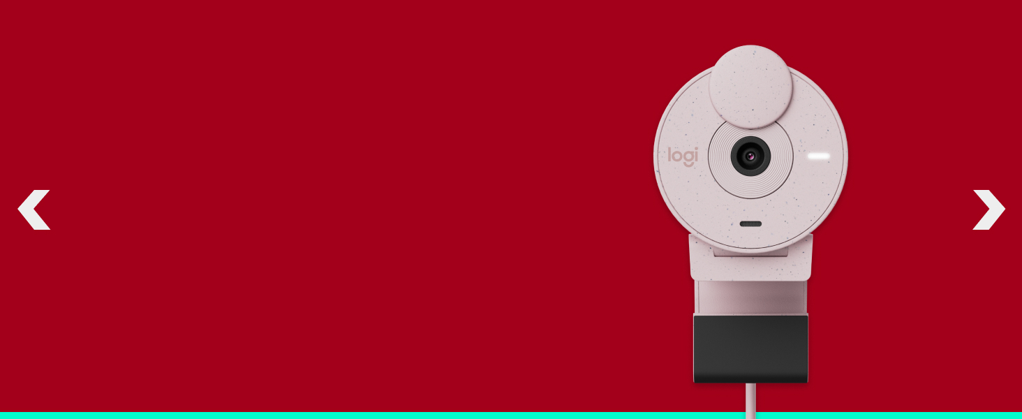 brio 300 full hd webcam rose