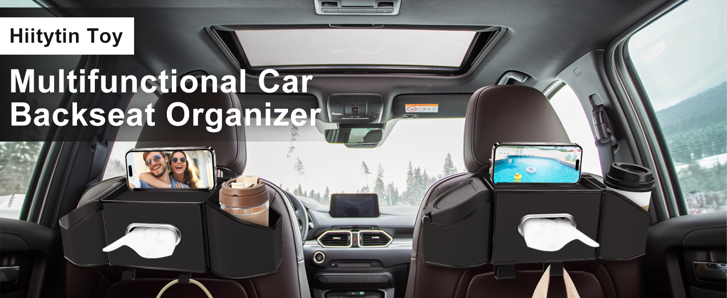 Back seat storage organizer