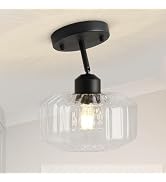 TeHenoo Modern Sloped Ceiling Light, Ribbed Clear Glass Flush Mount for Entryway, Hallway,Vaulted...