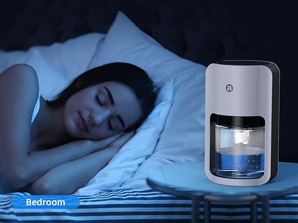 dehumidifier