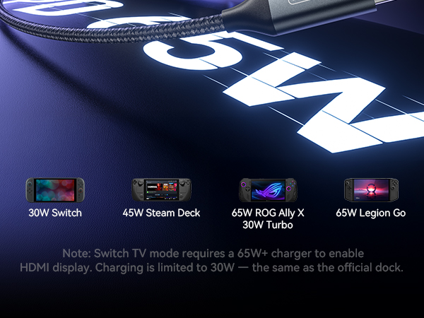 switch charger