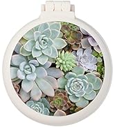 Mini hairbrush, pocket hairbrush with mirror, portable for purse/pocket, travel size (Plant succu...