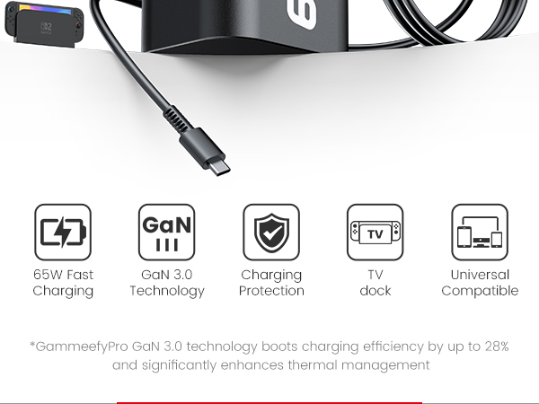 nintendo switch charger