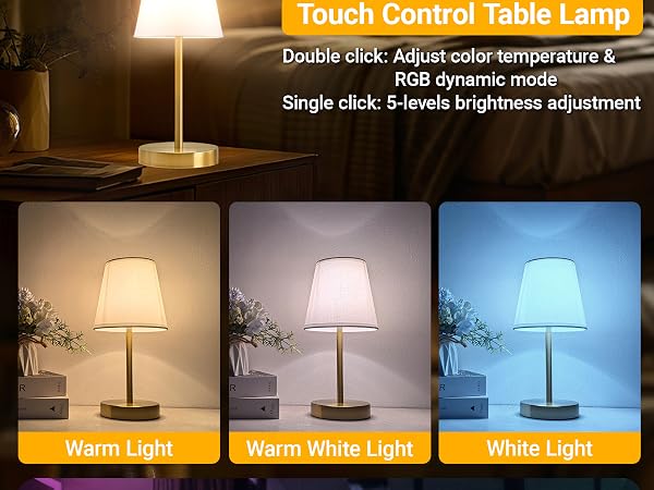 Dimmable Touch Desk Light