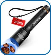365nm uv flashlight