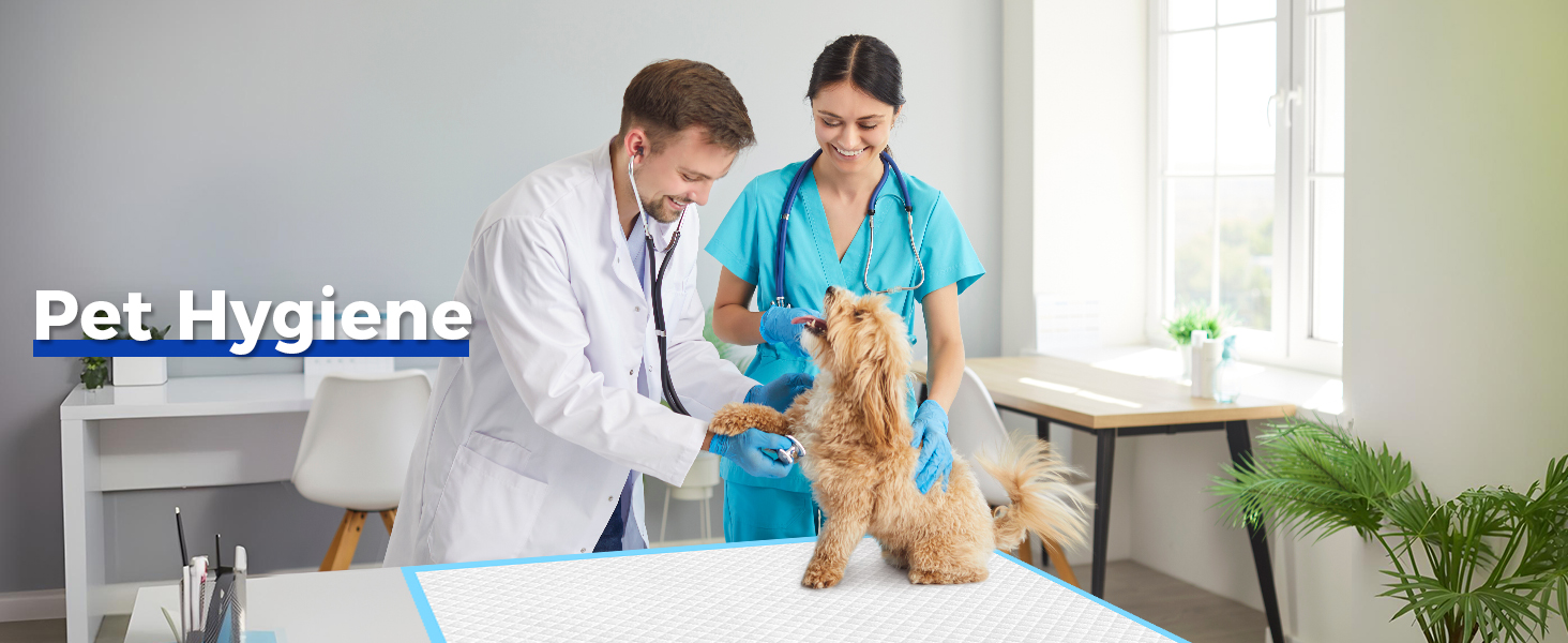 pet hygiene