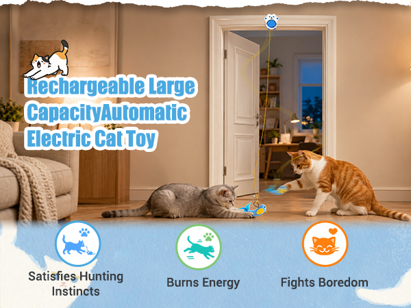 Rechargeable Large Capacity Automatic Electric Cat Toy
