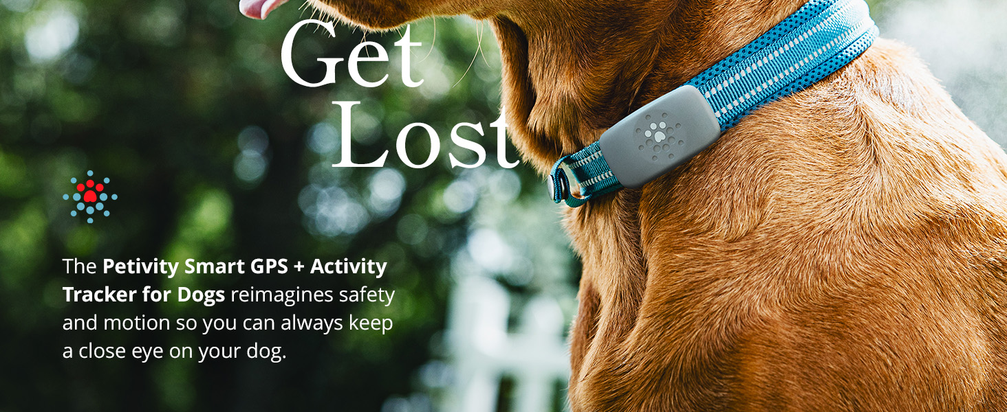Petivity tracker bottom of dog with tracker on colar