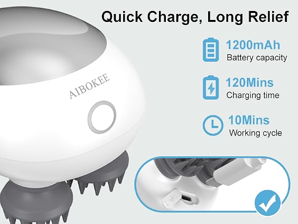 Electric Scalp Massager Silver