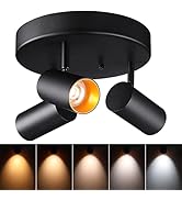 LEONLITE 36W COB 5CCT LED Ceiling Spotlight Fixture, 2700K/3000K/3500K/4000K/5000K Selectable, CR...