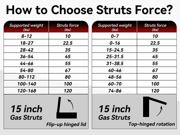 How to Choose Strut Force? We can teach customers