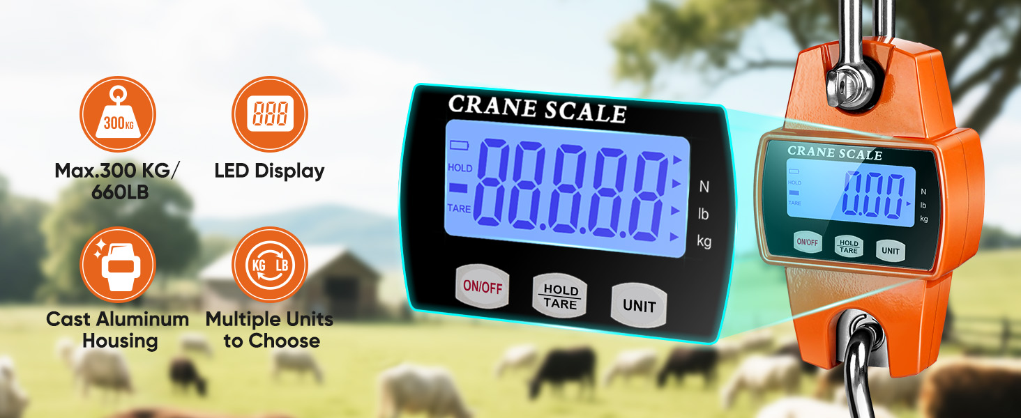 crane scale